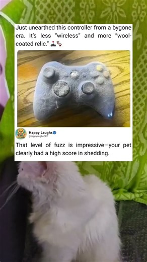 Funny Game Controller Surprise — So Funny