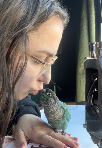 Mastering Chain Stitch Embroidery Techniques