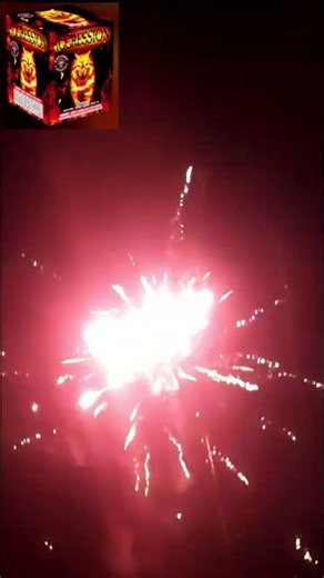 Aggression by Raccoon Fireworks