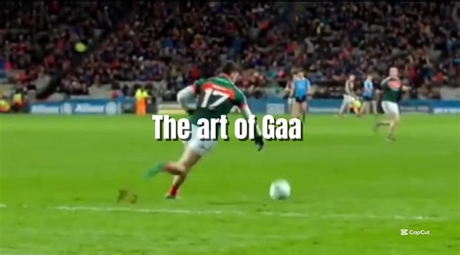Gaa 👑 #gaa #football #viral #fyp #capcut @Walsh.cc video