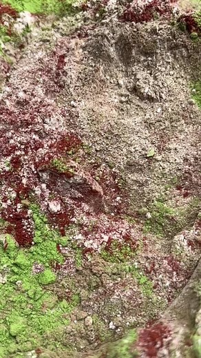 13K views · 28 reactions | Face polishing powder A traditional blend...