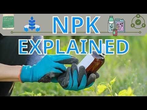 Introduction to NPK Explained! [Nitrogen / Phosphorus / Potassium]
