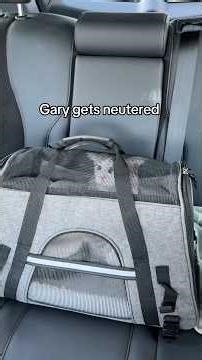 even anesthesia has no effect on Gary 😤