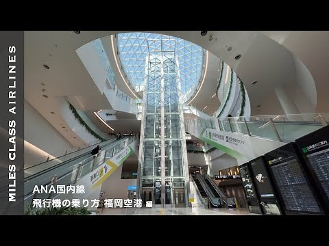ANA国内線 飛行機の乗り方 福岡空港編