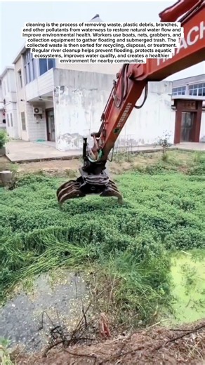 River Cleanup Mission: Restoring Nature’s Lifeline