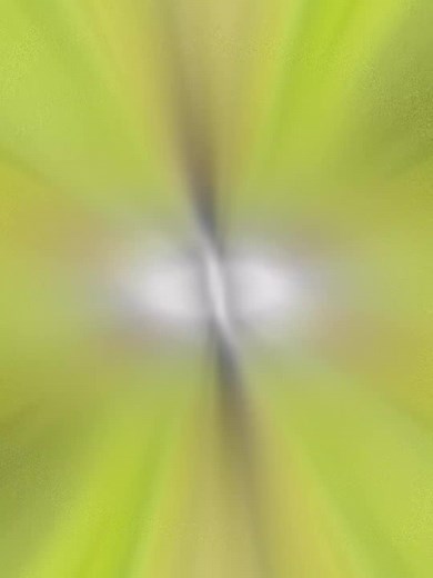 ×HTF (×_×) AMNESIA× on TikTok