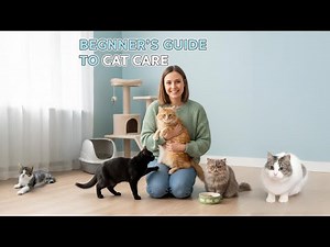 Beginner’s Guide to Cat Care 🐱 | Tips for Happy & Healthy Cats