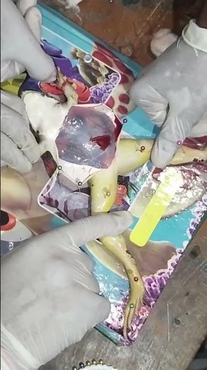 How do you prepare a frog for dissection?