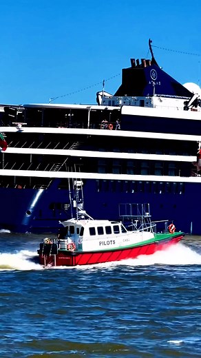 WORLD NAVIGATOR (IMO 9871531) is a Passenger Cruise Ship built in 2021 and currently sailing under the flag of Portugal (Madeira) #shipwatching in #montevideo #hoy #worldnavigator | Tatiana Kotova