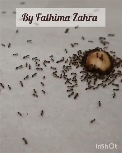 Basic Science assignment, class 5