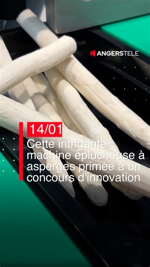 Le Salon International du SIVAL, salon professionnel des techniques de productions végétales, a débuté ce mardi 13 janvier 2026 au Parc des expositions d'Angers. Près de 700 exposants sont présents sur les 3 jours. Et comme chaque année, le Sival organise un concours, avec différentes catégories, pour primer les meilleures innovations. Et une d’entre elle nous a particulièrement amusé et intrigué… une éplucheuse à asperge en libre-service. SIVAL - ANGERS @sivalangers #innovation #alimentation #v