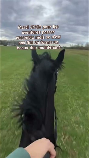 CYDE 🌹❤️‍🔥💖