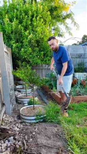 Essential gardening tips to improve your skills