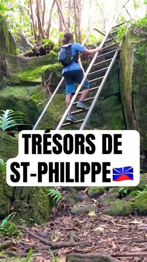 Wild vanilla and an unusual encounter in Saint-Philippe! 🦀🌿 🇷🇪 #hiking