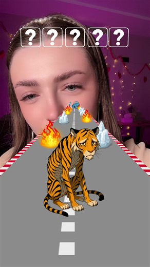 Raccoon ASMR for Relaxation and Sleep