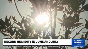Record Humidity Plagues 70 Million Americans This Summer