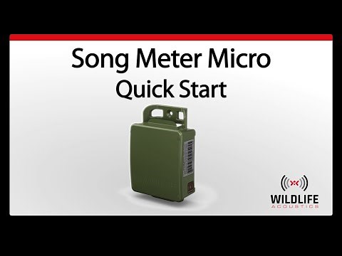 Song Meter Micro - Quick Start Guide | Bat Sound Recorder