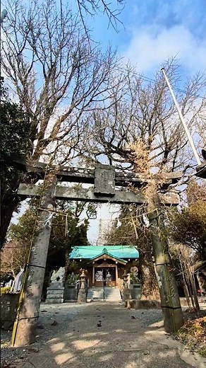 金峰山（標高 665m）熊本市の西側に位置する市のシンボル的な山でかつては「飽田山」と呼ばれていましたが平安時代の832年に奈良の吉野から「金峯山蔵王権現」を勧請し金峰山と呼ばれるようになりました