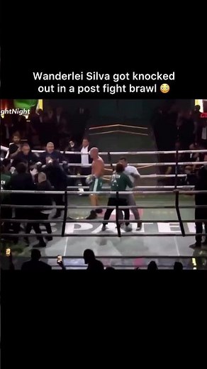 Wanderlei Silva got knocked out in a post fight brawl