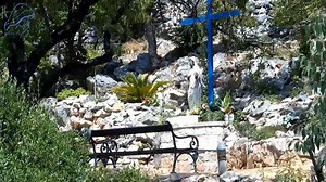 1.4K views · 316 reactions | Our Lady, Champion General | Mary TV | Facebook