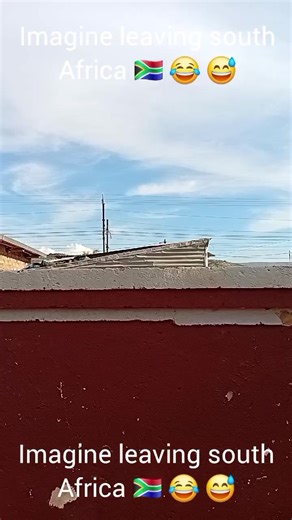 Onkarabile Langa (@onkarabilelanga5)’s video of man spider