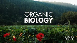 ORGANIC RISING - Demystifying Organic Agriculture SEE the Award Winning Documentary: www.OrganicRisingFilm.com There are predominantly two agricultural methods practiced in the US today: ORGANIC and CONVENTIONAL. "The difference is what happens to the soil ..." according to Mark Smallwood the (former) farm director for the Rodale Institute. Follow Organic Rising on YouTube - don't miss our free content: https://www.youtube.com/@OrganicRising #FoodAndWaterWatch #cornucopiainstitute #OrganicConsum