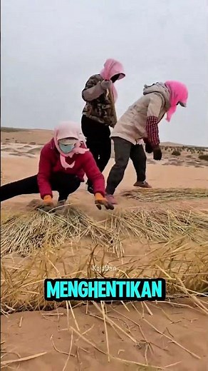 Teknik Rahasia China Menghentikan Gurun! Prosesnya Bikin Kagum!!!...#shorts