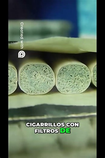 ¿SABÍAS ESTE DATO SOBRE LOS CIGARRILLOS?