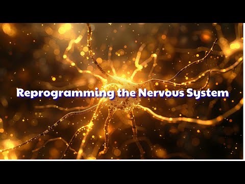 Reprogramming the Nervous System – When the Brain Learns to Heal Itself