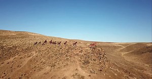 Video by Dean Diemert on Pexels