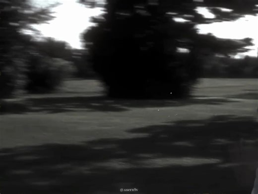 Exploring Themes in The Notebook Film