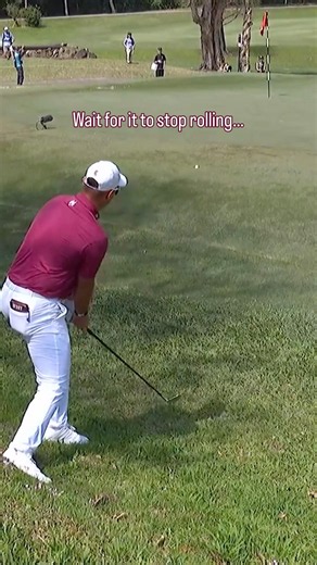 How many feet did the ball roll? 🤔