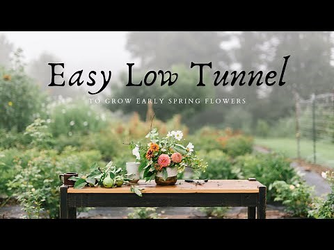 How to Build an EASY Low Tunnel | Grow Ranunculus | Small Scale Flower Farming