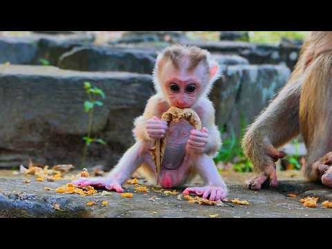 Baby Levy looks very hungry, maybe Libby isn't giving her enough milk.