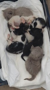 Anna Sergeeva on Reels