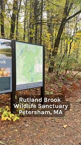 Explore Rutland Brook Wildlife Sanctuary in Petersham, MA Head out on the 4 miles of trails to look for... ✔️ Mushrooms popping up after this week's rain. ✔️ Striking views of the water flowing over the rocks on Rutland Brook. ✔️ Red Efts, the juvenile form of the Eastern Newt. ✔️ More Red Efts. ✔️ Oh, and did we mention Red Efts? Plan your visit: massaudubon.org/rutlandbrook | Mass Audubon