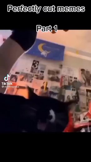 Perfectly Cut Memes Compilation Featuring Cats and Coca-Cola