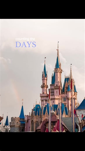 64 days until this view again 🏰✨ #disneycountdown #waltdisneyworld