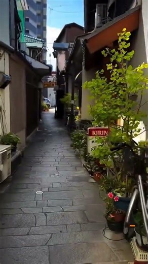 Walking through japan street