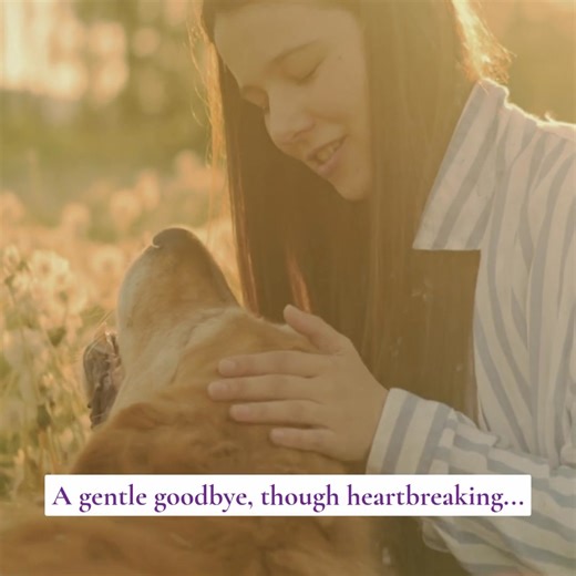 As pets age or face illness, it’s natural to wonder - are they comfortable, or are they starting to struggle? 💛 At Pet Angel, we gently guide families through this tender stage with care and compassion. If the time comes when prolonging your pet’s life is no longer the kindest choice, we can help ensure your pet’s farewell is peaceful, loving, and handled by caring and specialist end-of-life veterinarians and our trusted team. Gentle support through every step - from goodbye to aftercare. Find 