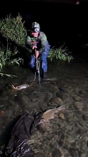 Traditional Night Spear Fishing! #shorts