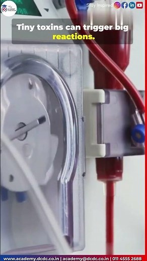 🛑 Stop guessing your meals! Master the Dialysis Diet for better kidney health.#dialysisdiploma