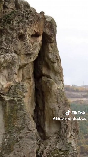 Frozen in Stone: The Secrets of Petrified Giants