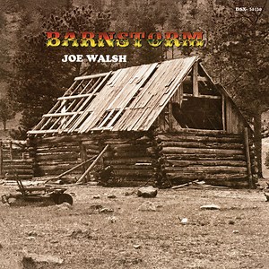 Joe Walsh - Turn to Stone Lyrics & Meaning