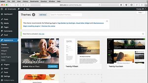 Install A WordPress Theme