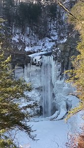 1.6M views · 281K reactions | 60 Seconds of Serenity (#360): Each...