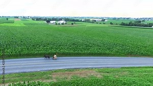 Aerial flyover Amish farmland and a pony cart.Gordonville, PA Concept: summer, Amish, nostalgic, traditional, Americana, idyllic farming no wires