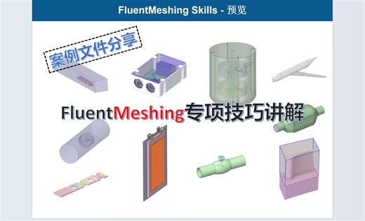 FluentMeshing专项技巧-介绍