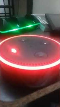 2 ways to get Alexa to curse