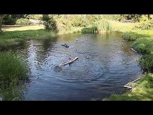 RC Naval Combat Mayhem – Half the Fleet SANK!